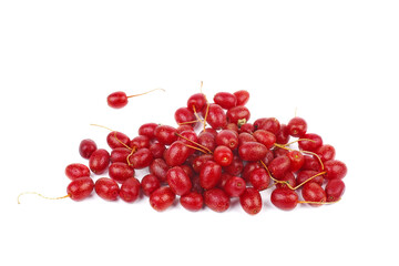 Red sea buckthorn.Shepherdia.Buffaloberry.Red berry isolated on white background.