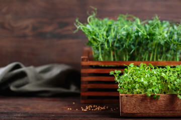 Fresh mustard microgreens on wooden background, illustrating eco-conscious home gardening.