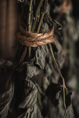 Dried mint tied with jute hangs against a wooden wall.