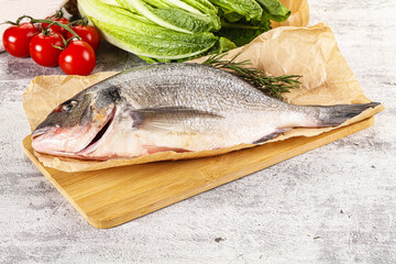 Raw dorada fish served rosemary