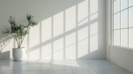 Minimalist Interior Design with Sunlight and Plant