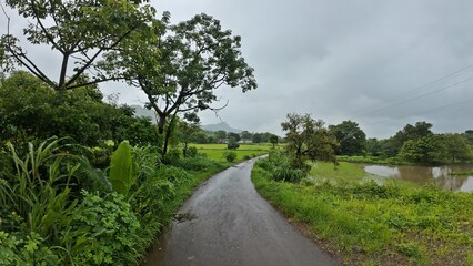 A scenic rural road in Maharashtra, surrounded by lush greenery and vegetation, under a cloudy sky during the monsoon season.