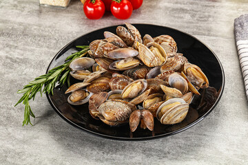 Raw vongole clams for cooking