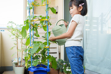 夏休みに朝顔に水やりする小学生