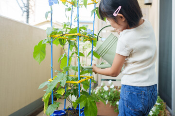 夏休みに朝顔に水やりする小学生