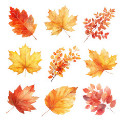 Obraz premium PNG Autumn leaf watercolor set, transparent background