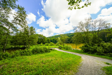 View of the Haunetalsperre and the surrounding nature. Flood retention basin near Marbach in the Fulda district. Landscape at the reservoir.
