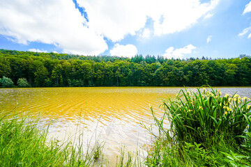 View of the Haunetalsperre and the surrounding nature. Flood retention basin near Marbach in the...
