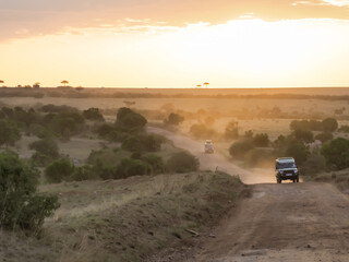 Africa