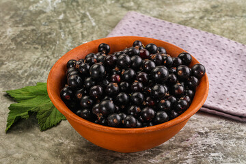 Ripe black currant in the bowl