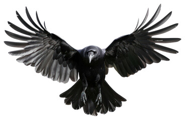 Fototapeta premium PNG Majestic black raven in flight