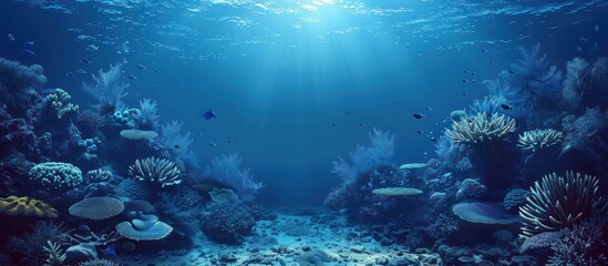 Fototapeta premium Sunlight Illuminates a Lush Underwater Reef