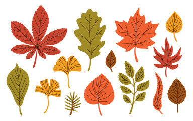 Fototapeta premium Vector collection of cartoon autumn leaves. Cute flat illustration of red, yellow, orange and green fallen tree leaves. Maple, oak, ginkgo, birch tree and others.