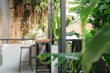 Many green ornamental plants in the interior of the white in the room to add a natural and cool and shady at home