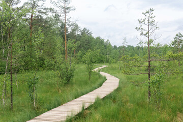 wooden walkway on educational nature trail in the protected fen landscape