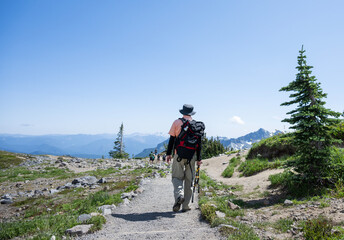 Fototapeta premium Man hiking at Skyline Loop Trail in summer. Unrecognizable crowd of people on the trail. Mt Rainier National Park. Washington State.
