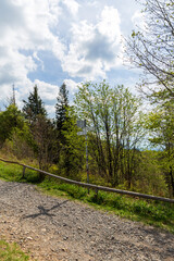 Scenic Trail View with Signpost at Schauinslandbahn
