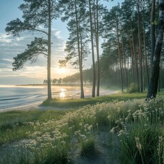 Landscape of the Baltic Sea. Dawn on the coast of Estonia.