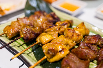Skewers of the meat on the dish