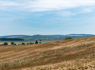 Obraz premium Vast Rolling Hills Lush Fields Blue Sky Scenic Landscape Nature