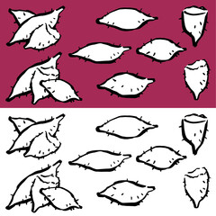 墨と筆で書いた「さつまいも」のイラスト　手書き　手書き