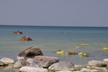idyllischer Steinstrand auf Rügen Nähe Arkona - idyllic stone beach on Rügen near Arkona