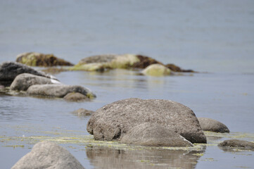 idyllischer Steinstrand auf Rügen Nähe Arkona - idyllic stone beach on Rügen near Arkona