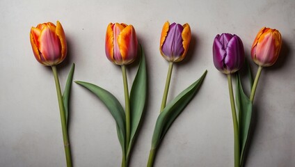 genrative ai Bouquet of colorful tulips in the glass vase
Bouquet of colorful tulips in the glass vase
