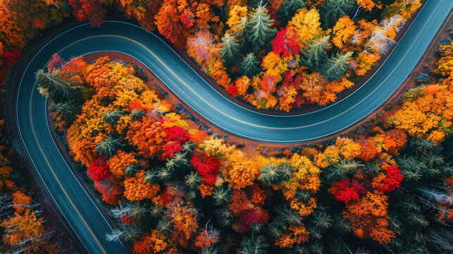 Aerial view of a road in a forest with bright autumn colors. Travel advertising. Adventure concept. Generative AI