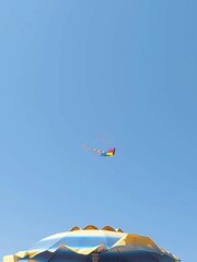 kite in the sky