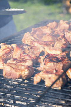 grilled meat on the grill. outdoor ativity in summer