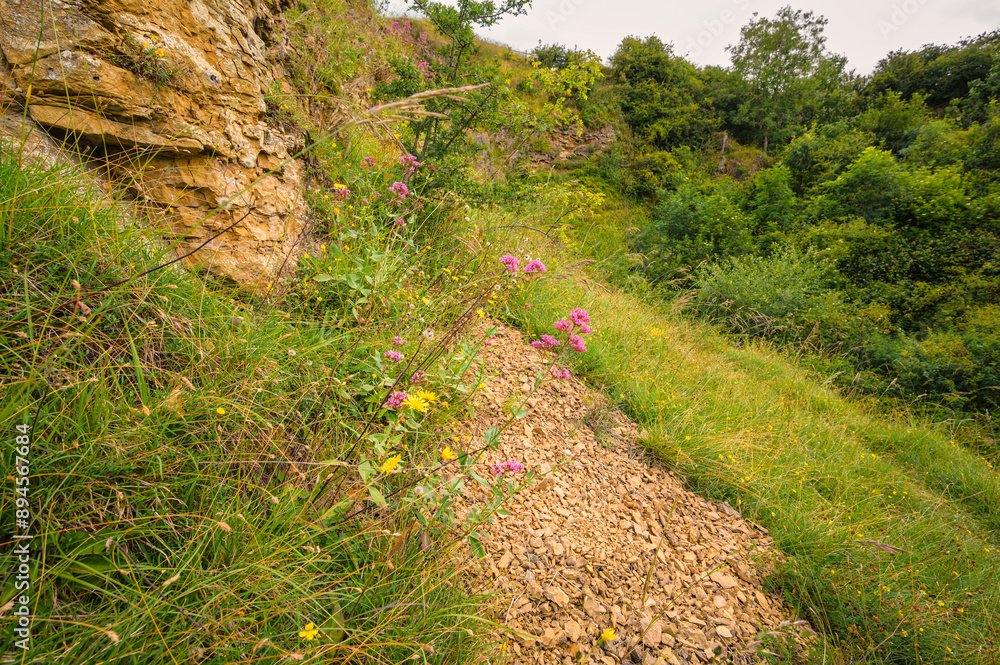 Poster red valerian at bishop middleham quarry, which ceased operations in 1934 and is now a sssi managed a