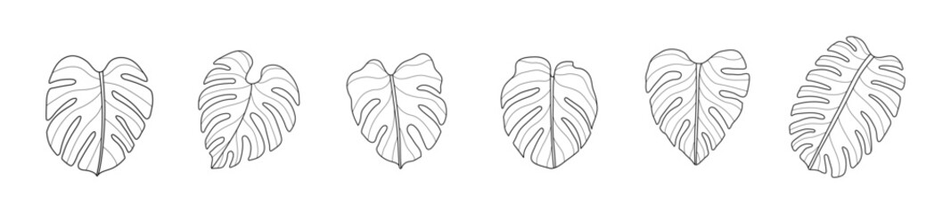 monstera leaf hand drawn outline set tropical leaves silhouette vector art graphic design summer green nature drawing line tree plant holiday organic natural minimal adult coloring book doodle sketch © athikom
