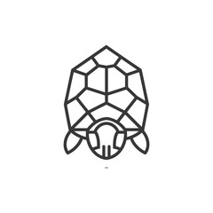Obraz premium Geometric turtle shell design