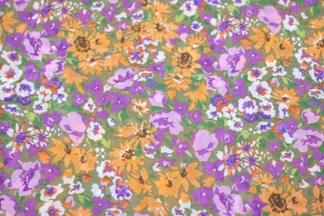 butterflies on a flower