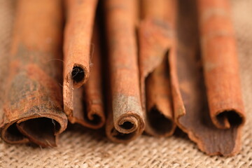Cinnamon or with the scientific name Cinnamomum is a type of tree that produces spices. Cinnamomum verum