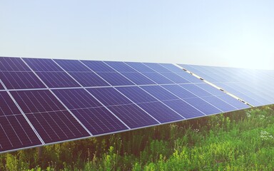 solar panels on a green field