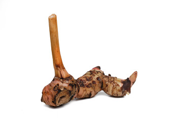 dried root isolated