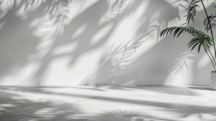 Minimalist Interior with Palm Leaf Shadows