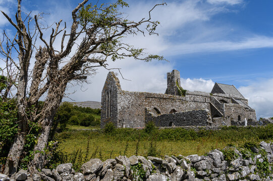 Old ruins church with stone wall and dead tree
