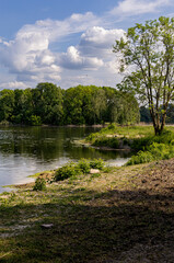 Falencki Pond on a summer day, Masovia, central Poland
