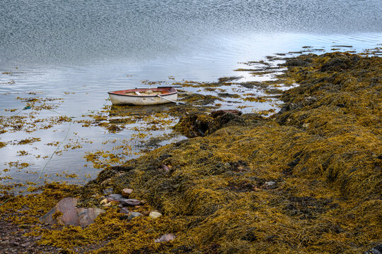 a rowboat moared next to seaweed covered rocks in Ireland