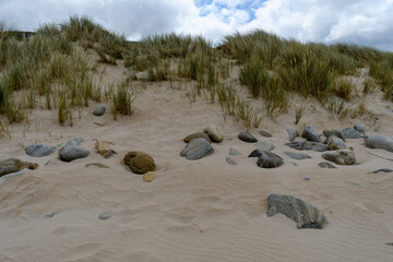 rocks on a beach sand dune with dune grass