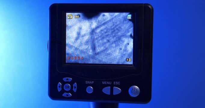 Artemia - live nutrition for jellyfish. Plankton on display under microscope. Small marine organisms, zooplankton and phytoplankton. Plankton forms foundation of jellyfishes diet