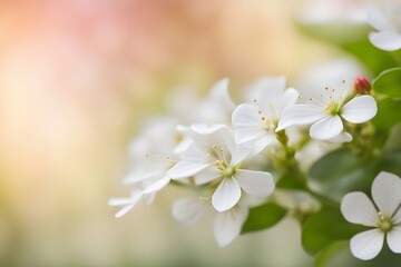 Obraz premium Fragrant rondeletia flower bokeh background, AI Generated