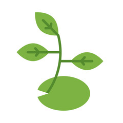 Sprout Flat Icon