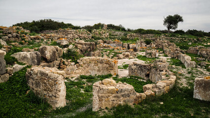The view of the Lixus Archeological Site in Morocco © Jakub