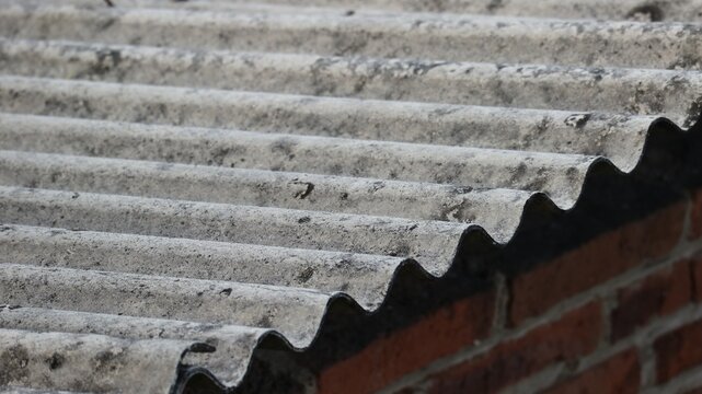 Asbestos roof tiles that have started to become ugly, originally gray in color are starting to show black spots.