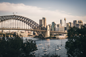 Sydney harbour bridge and skyline