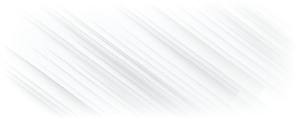 Obraz premium The white and silver are light gray with black the gradient is the Surface with templates metal texture soft lines tech gradient abstract diagonal background silver black sleek with gray and white.